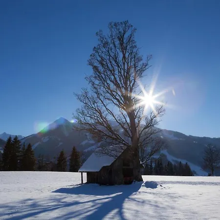 霍赫艾格公寓 公寓 斯拉德明