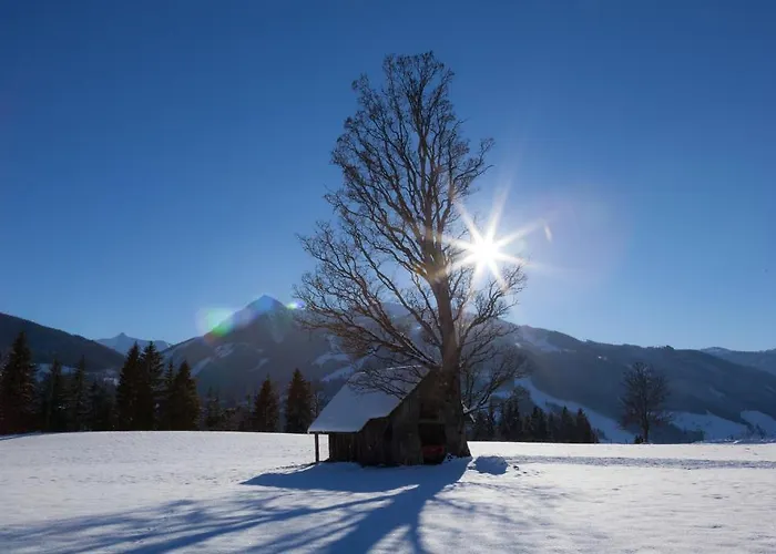 Hochegg Apartment Schladming